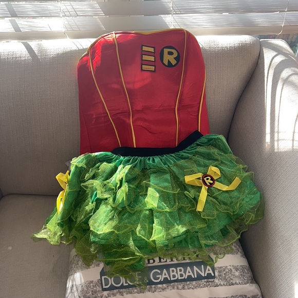 Batman and Robin Halloween Costume like new - Picture 3 of 9